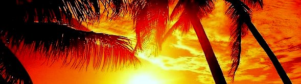 NOKOMIS RESIDENCES GATHER ON THE BEACH TO SEE, SMELL, AND ENJOY BEACH LIVING