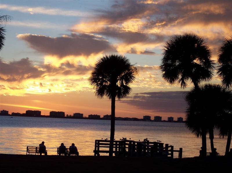 Longboat Key skyline 