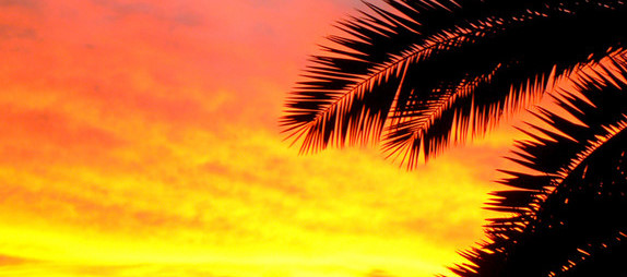 THIS COULD BE THE BEGINING OR END OF A GREAT DAY IN NOKOMIS FL