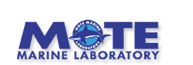 MOTE MARINE SARASOTA FL 