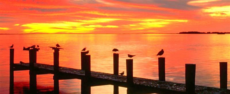 BEAUTIFUL GULF AND BY VIEWS FROM ALL OVER NOKOMIS FL